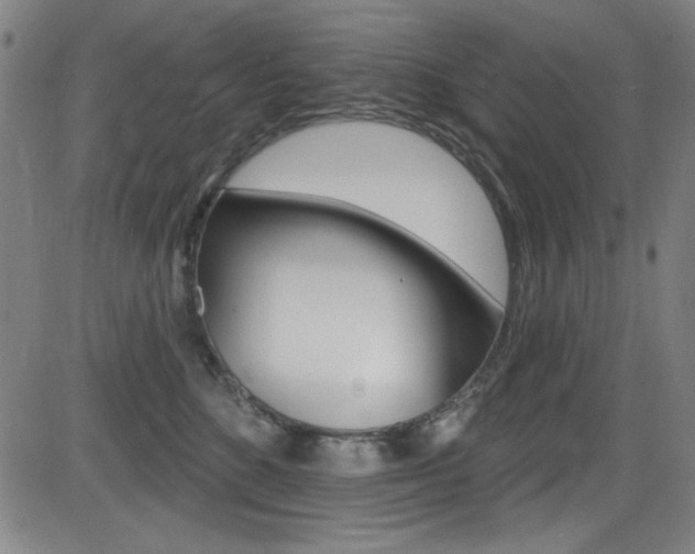 X0000083070520200702021014