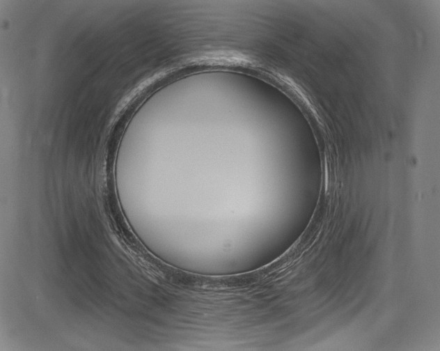 X0000083070531200702021013