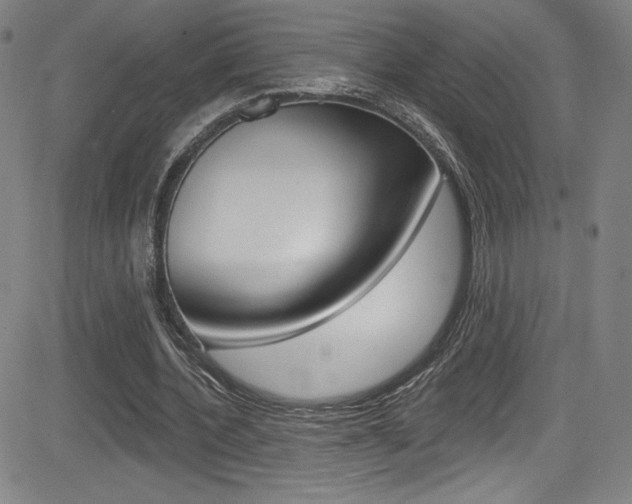 X0000083070532200702021013