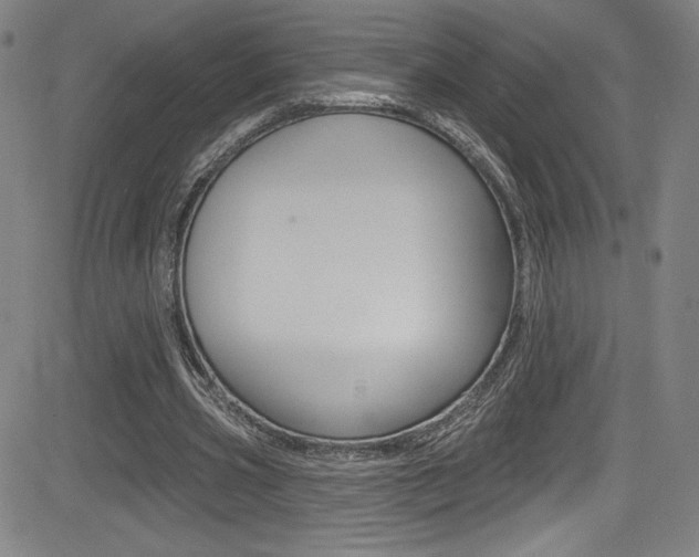 X0000083070533200702021013