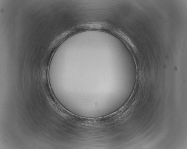 X0000083070537200702021013
