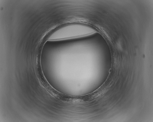 X0000083070539200702021013