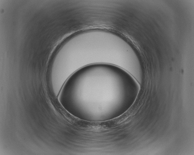 X0000083070540200702021013