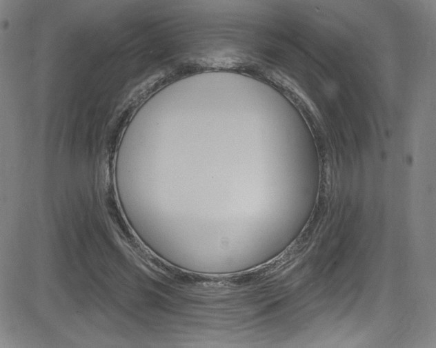 X0000083070541200702021013