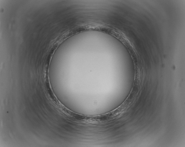 X0000083070545200702021013