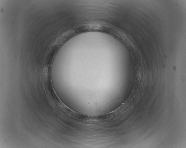 X0000083070551200702021013