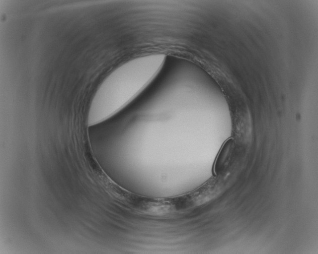 X0000083070555200702021013