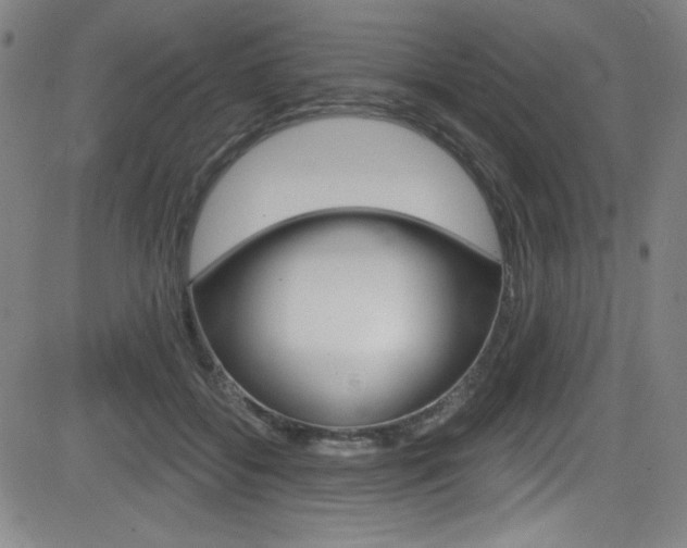 X0000083070556200702021013