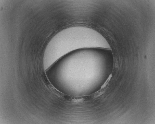 X0000083070560200702021013