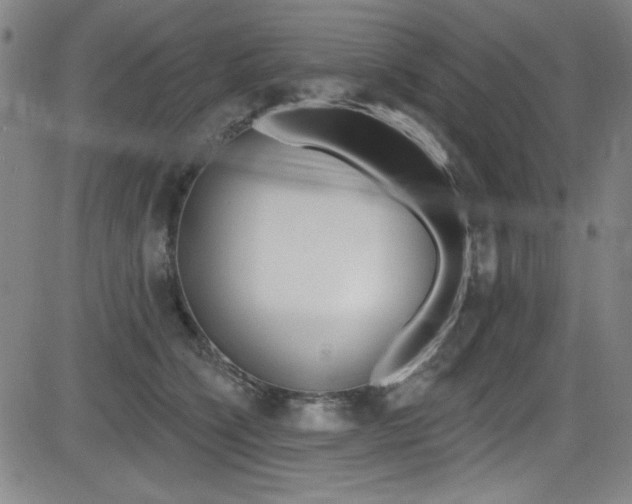 X0000083070564200702021014