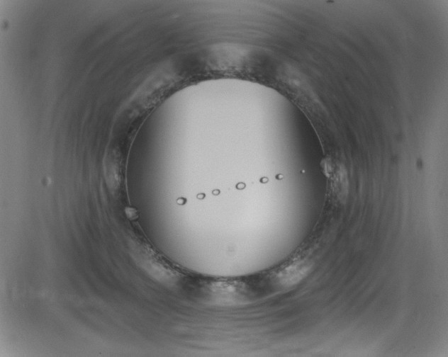 X0000083070566200702021014