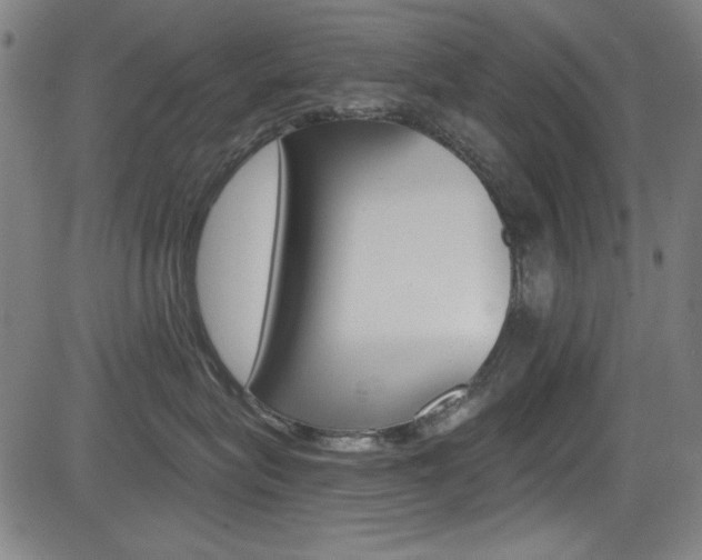 X0000083070575200702021014