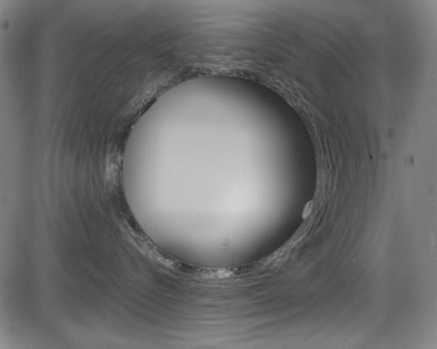 X0000083070576200702021014