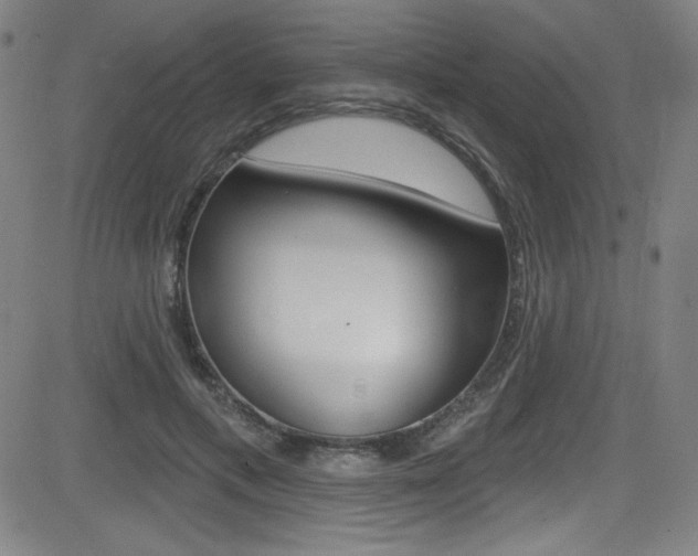 X0000083070597200702021013