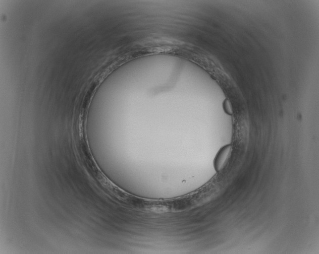 X0000083070598200702021013