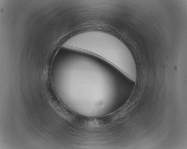 X0000083070600200702021013