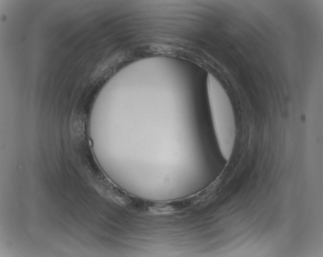 X0000083070603200702021012
