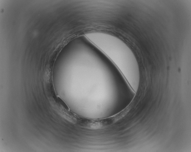 X0000083070604200702021012