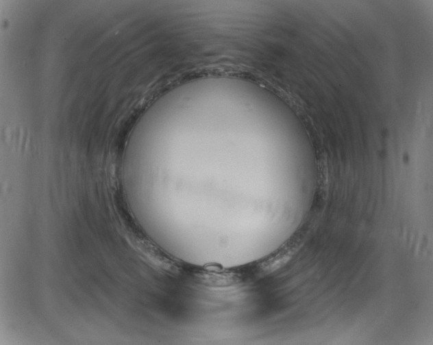 X0000083070615200702021012