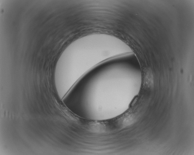 X0000083070616200702021012