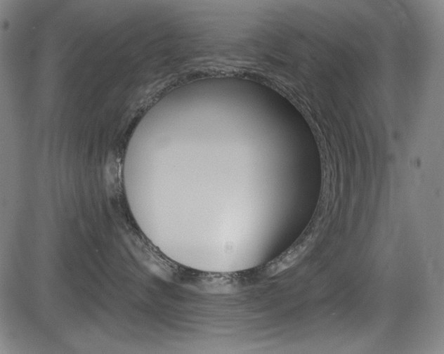 X0000083070624200702021012