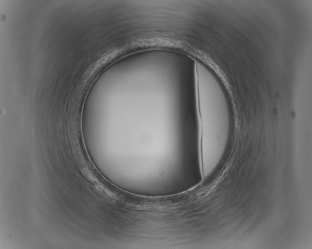X0000083070625200702021011
