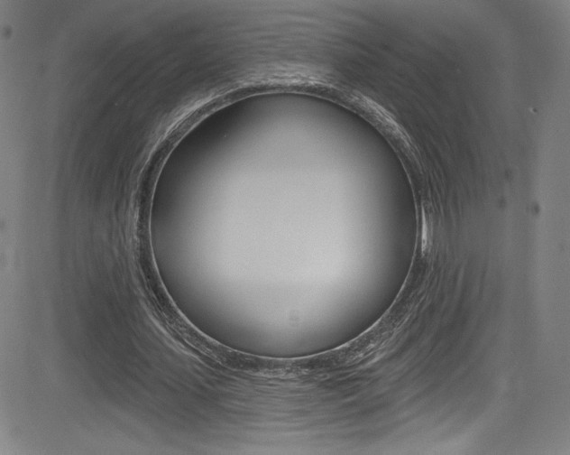 X0000083070627200702021011