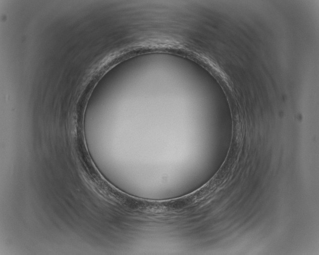 X0000083070631200702021011