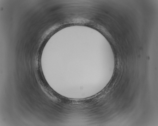 X0000083070632200702021011