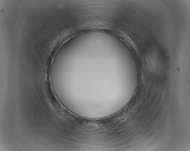X0000083070635200702021012