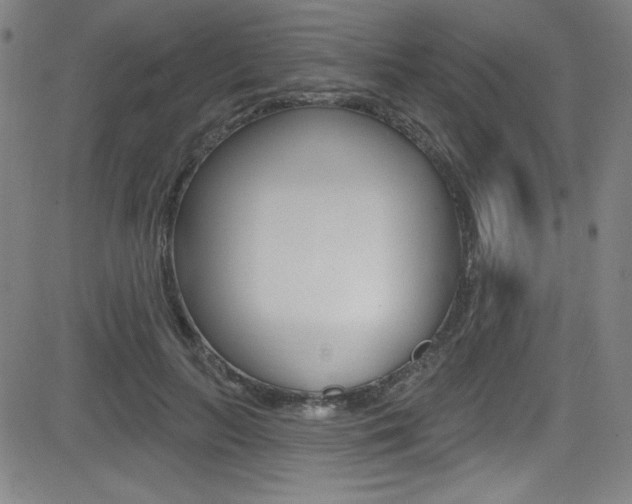 X0000083070647200702021012