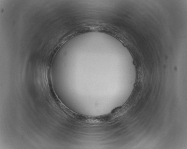 X0000083070650200702021012