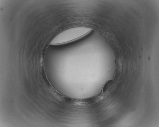 X0000083070657200702021012