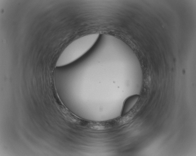 X0000083070658200702021012