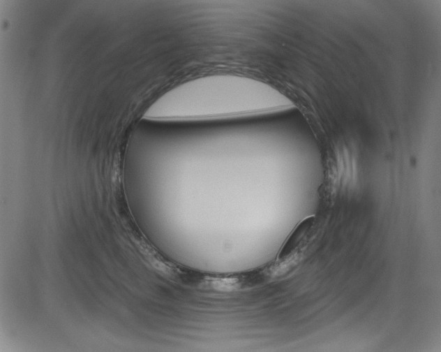 X0000083070665200702021012