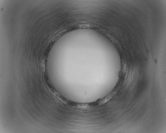 X0000083070666200702021012