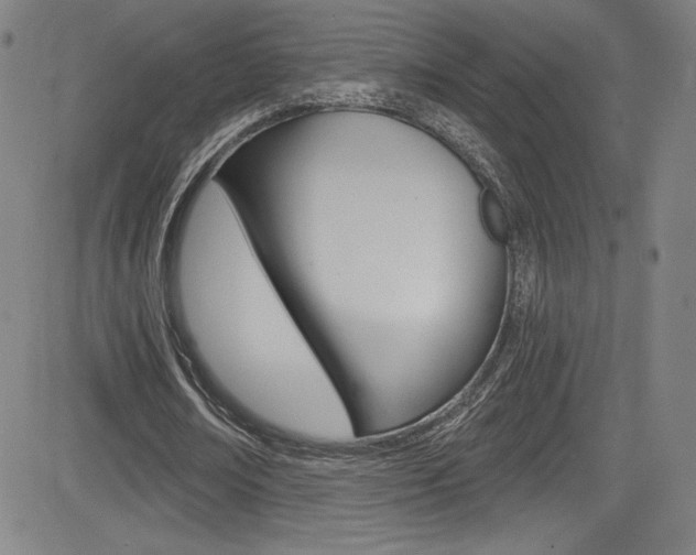 X0000083070674200702021011
