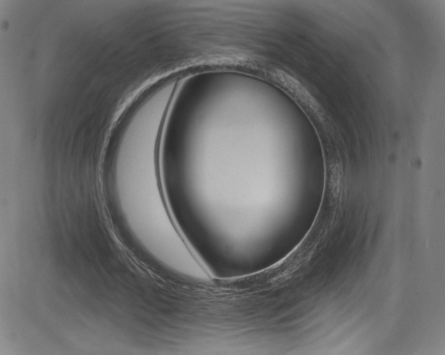 X0000083070676200702021011