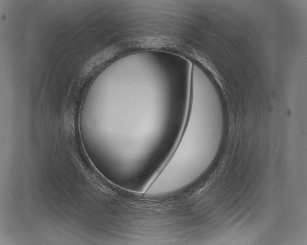 X0000083070681200702021011