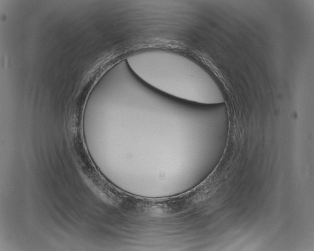 X0000083070683200702021011