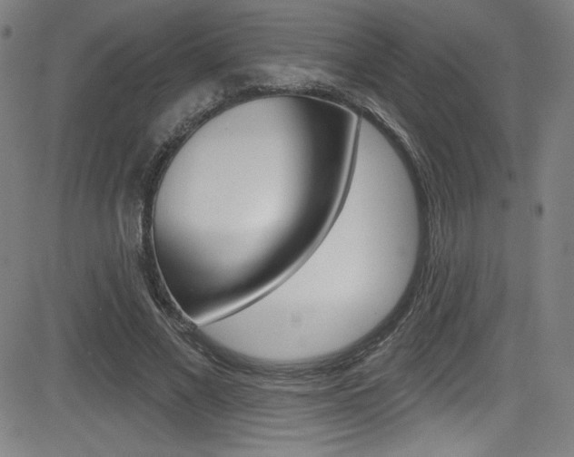 X0000083070685200702021011
