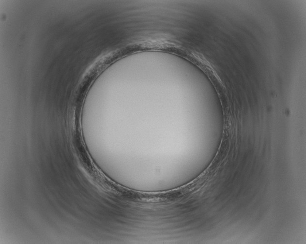 X0000083070686200702021011