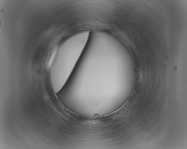 X0000083070691200702021011