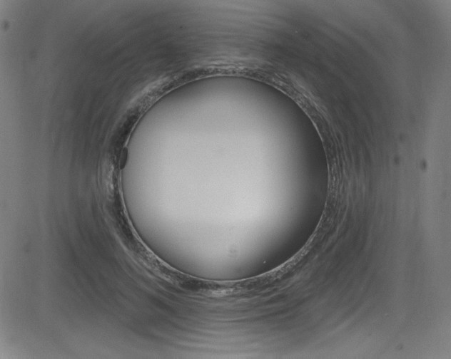 X0000083070692200702021011