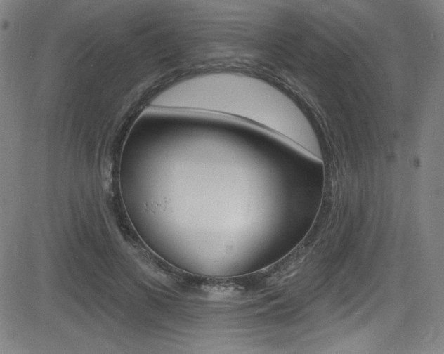 X0000083070693200702021011
