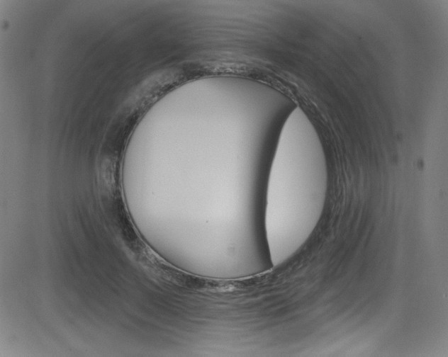 X0000083070695200702021011