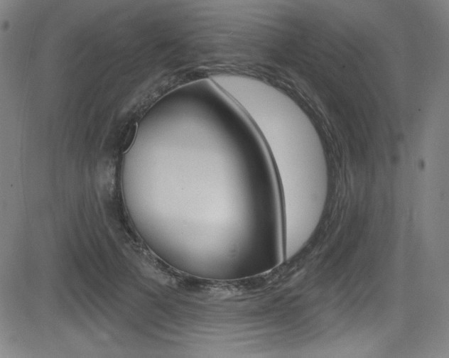 X0000083070697200702021011