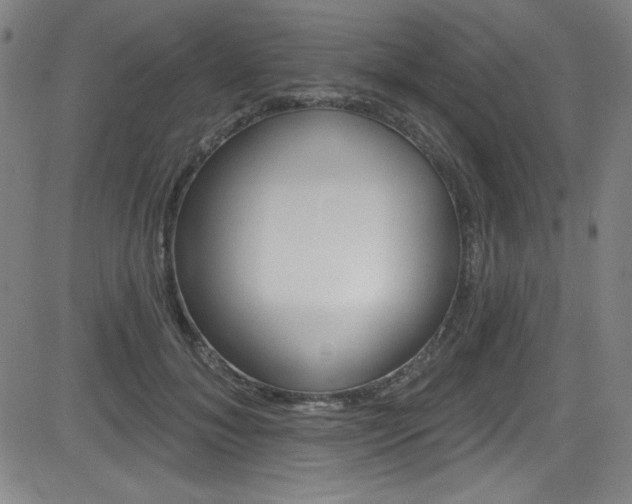 X0000083070700200702021011
