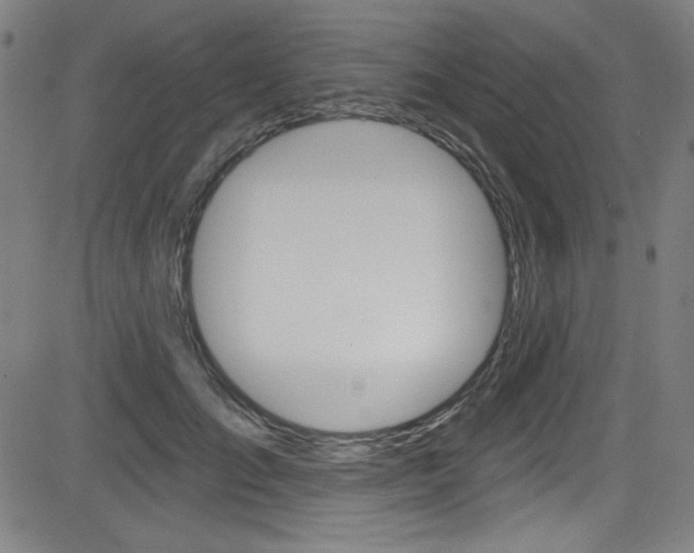 X0000083070701200702021011