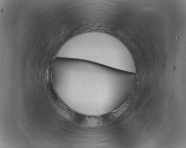 X0000083070703200702021011